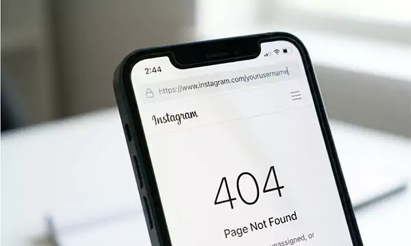 Check profile URL