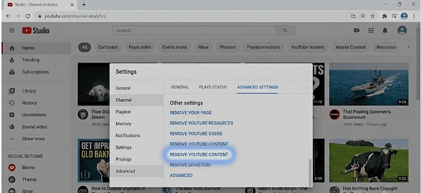 Scroll down and click “Remove YouTube Content”
