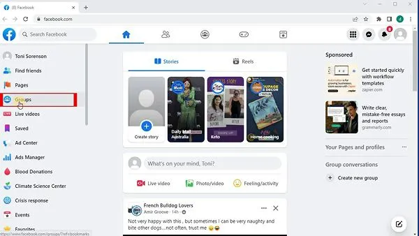 Click Groups on the left hand sidebar.