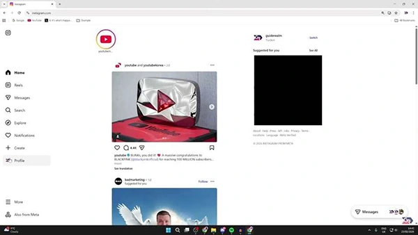 Instagram screen showing left bar options.