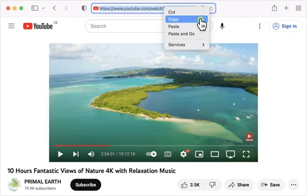 Copying a YouTube video link from the browser address bar