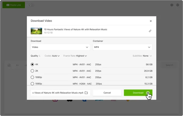 Clicking the Download button in 4K Video Downloader Plus