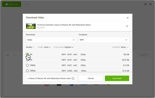 4K Video Downloader Plus showing MP4 format and video quality options