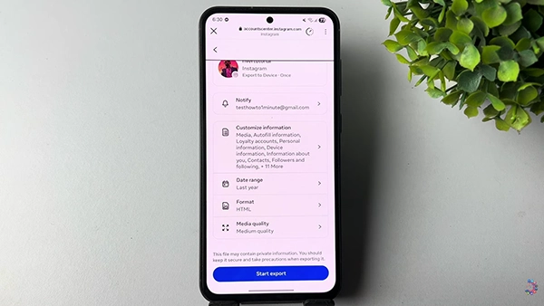 Instagram showing export custom options