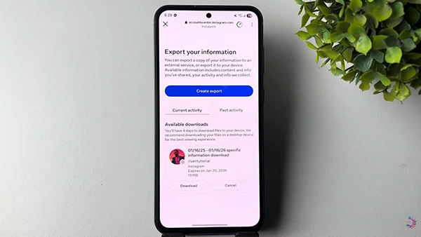 Instagram showing export your information menu