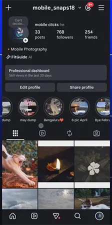  Instagram showing profile section.