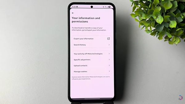 Instagram showing your information and permissions menu