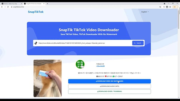 SnapTik showing clip download options
