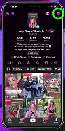 TikTok showing user profile